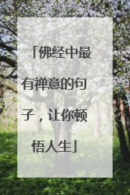 佛经中最有禅意的句子，让你顿悟人生