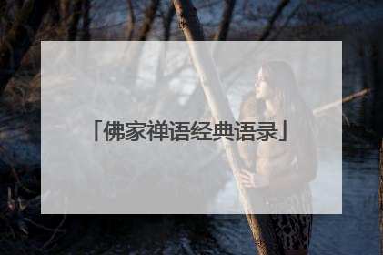 佛家禅语经典语录
