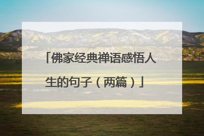 佛家经典禅语感悟人生的句子(两篇)