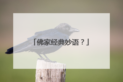 佛家经典妙语?
