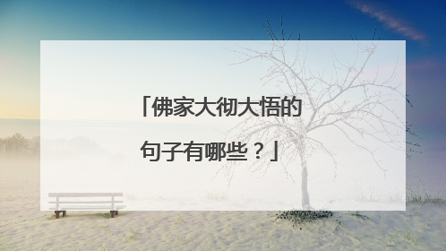 佛家大彻大悟的句子有哪些？
