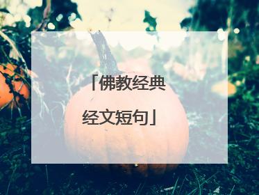 佛教经典经文短句