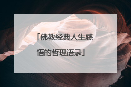 佛教经典人生感悟的哲理语录