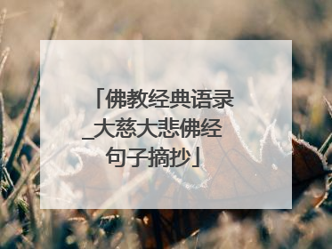 佛教经典语录_大慈大悲佛经句子摘抄