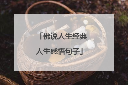 佛说人生经典人生感悟句子