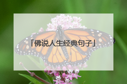 佛说人生经典句子