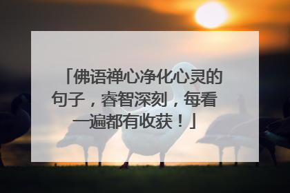 佛语禅心净化心灵的句子，睿智深刻，每看一遍都有收获！