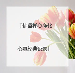 佛语禅心净化心灵经典语录