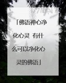 佛语禅心净化心灵 有什么可以净化心灵的佛语