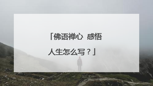 佛语禅心 感悟人生怎么写?