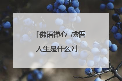 佛语禅心 感悟人生是什么?