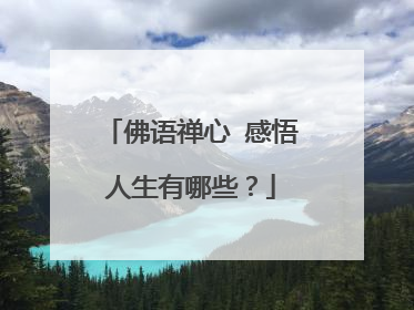 佛语禅心 感悟人生有哪些？