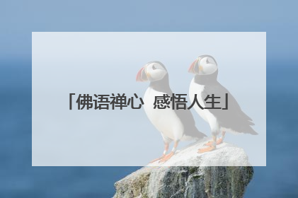 佛语禅心 感悟人生