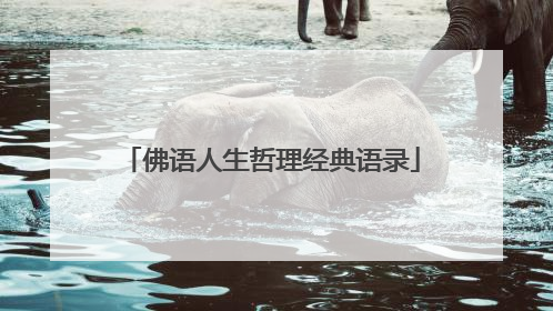 佛语人生哲理经典语录