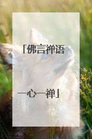 佛言禅语一心一禅