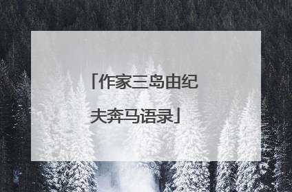 作家三岛由纪夫奔马语录