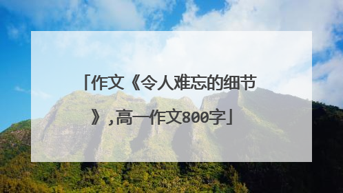 作文《令人难忘的细节》,高一作文800字