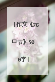 作文《元旦节》500字