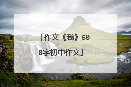 作文《我》600字初中作文