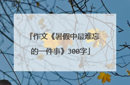 作文《暑假中最难忘的一件事》300字