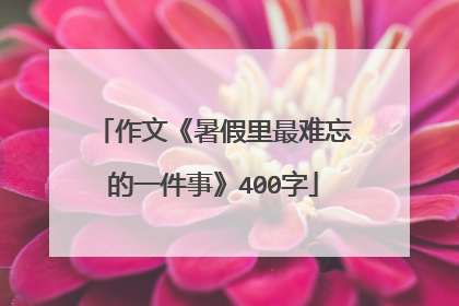 作文《暑假里最难忘的一件事》400字