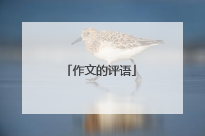 作文的评语