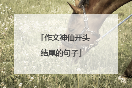 作文神仙开头结尾的句子