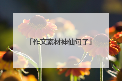 作文素材神仙句子