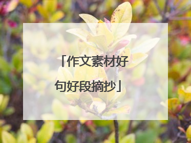 作文素材好句好段摘抄