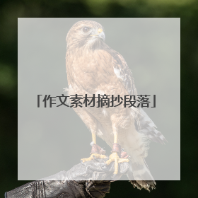 作文素材摘抄段落