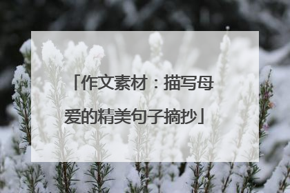 作文素材:描写母爱的精美句子摘抄