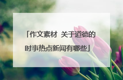 作文素材 关于道德的时事热点新闻有哪些