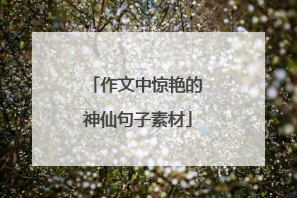 作文中惊艳的神仙句子素材