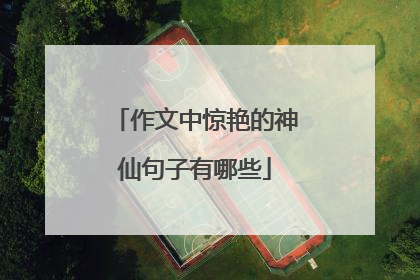 作文中惊艳的神仙句子有哪些