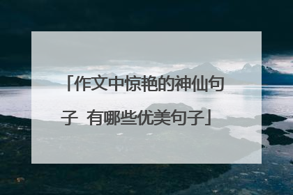 作文中惊艳的神仙句子 有哪些优美句子