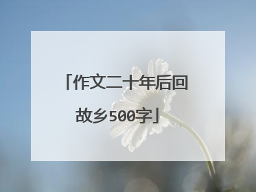 作文二十年后回故乡500字