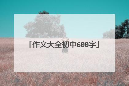 作文大全初中600字