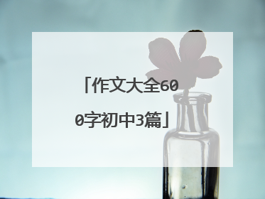 作文大全600字初中3篇