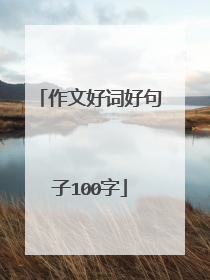 作文好词好句子100字