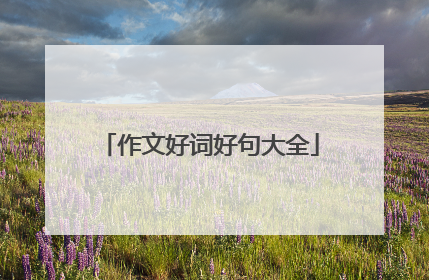作文好词好句大全