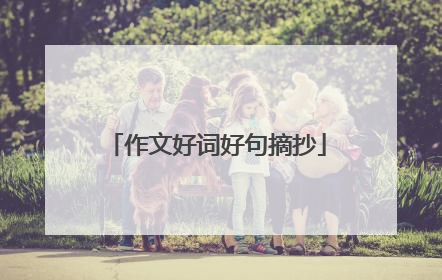 作文好词好句摘抄