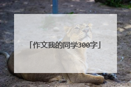 作文我的同学300字