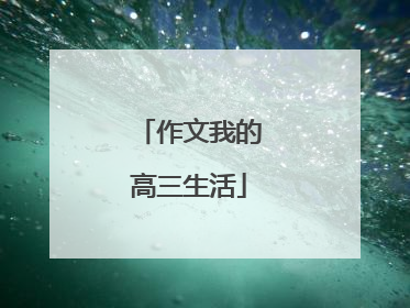 作文我的高三生活