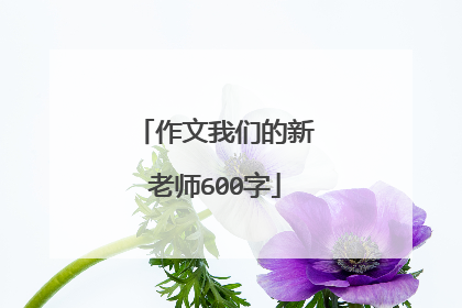 作文我们的新老师600字