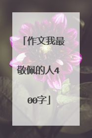 作文我最敬佩的人400字