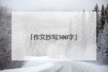 作文抄写300字
