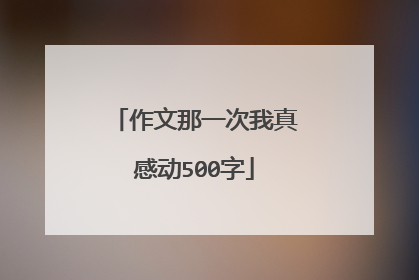 作文那一次我真感动500字