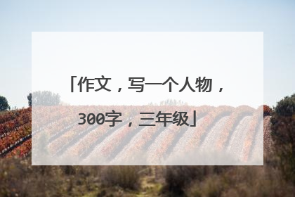 作文,写一个人物,300字,三年级