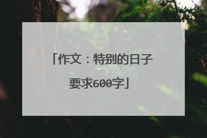作文：特别的日子 要求600字