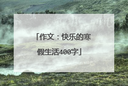 作文：快乐的寒假生活400字